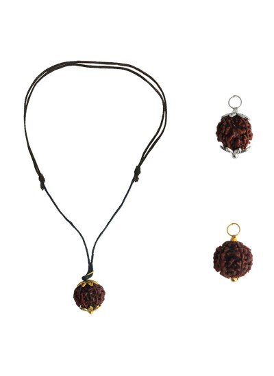 6 Mukhi Rudraksha Pendant Combo