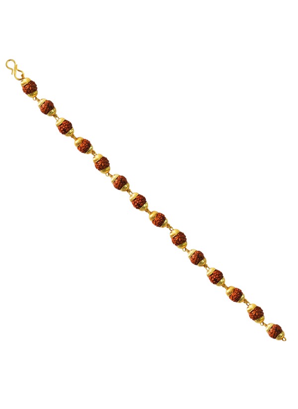 Brown Rudraksha With Gold Cap Rudraksha Bracelet 