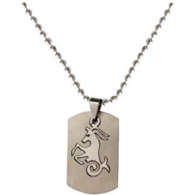 Elegant Silver Fashion  Pendant